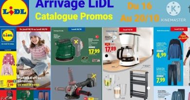 Nouveaux arrivages Lidl : promos Parkside et Silvercrest du 16 au 20 octobre