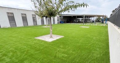 Nouvelle pelouse à l’École Simone Peretti - Mairie de Biguglia