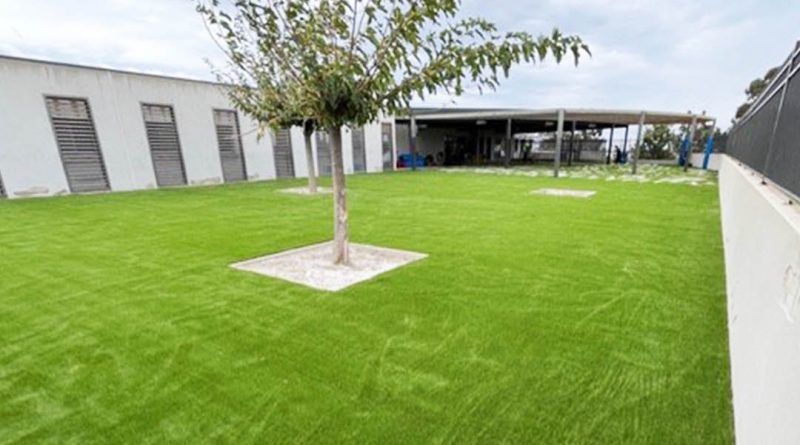 Nouvelle pelouse à l’École Simone Peretti - Mairie de Biguglia