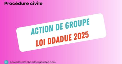 Nouvelles règles pour l'action de groupe : Loi DDADU 2025