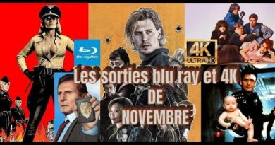 Novembre 2025 : Nouveautés Blu-ray et 4K à ne pas manquer
