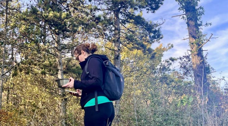 Nuits-Saint-Georges. Ils recherchent dans les bois depuis 3 jours un chien qu'aucun maître ne réclame