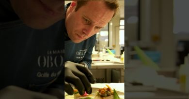 OBONO : L'Art de Recevoir au Cœur du Golfe du Morbihan