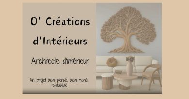 O’Créations d’intérieurs : transformer et valoriser les biens immobiliers - ICI