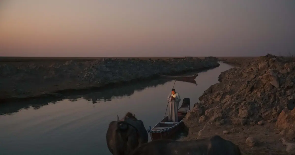 En Irak, les marais de Mésopotamie s’assèchent: l’eau continue de baisser