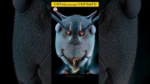 Objets fascinants sous le microscope : découvrez-les !