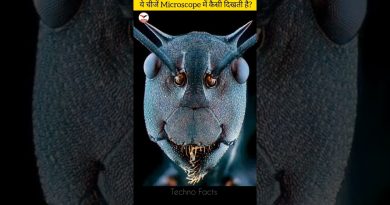 Objets fascinants sous le microscope : découvrez-les !