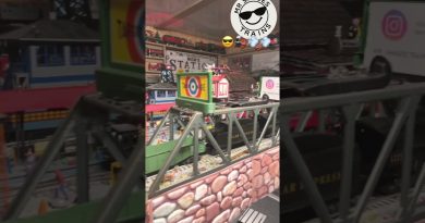 Observer le passage du train : un rêve en miniature