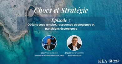 Océans en crise : enjeux stratégiques et écologiques