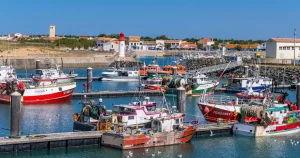 Oléron : une île à découvrir, loin du cliché de la 'France préservée'