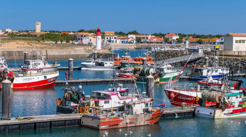 Oléron : une île à découvrir, loin du cliché de la 'France préservée'
