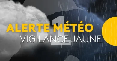 Onde tropicale n°35 : vigilance jaune pour fortes pluies et orages en Guadeloupe