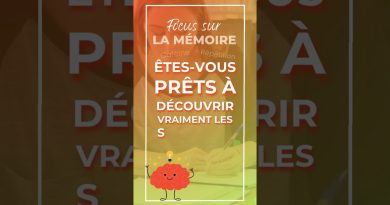 Optimisez votre mémoire pour des révisions efficaces
