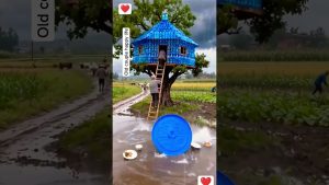 Orage et pluie intense : la vie au village en vidéo