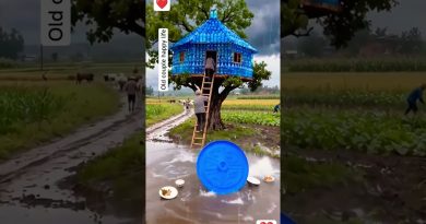 Orage et pluie intense : la vie au village en vidéo