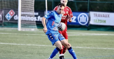Football. N3 : La Châtaigneraie s'impose à domicile face à Chauvigny sans éclat