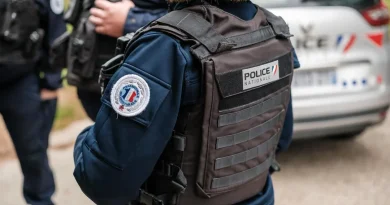 Poupées pédocriminelles : un acheteur arrêté dans les Bouches-du-Rhône