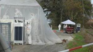 Vairé en Vendée : un foyer de grippe aviaire détecté, routes fermées par précaution