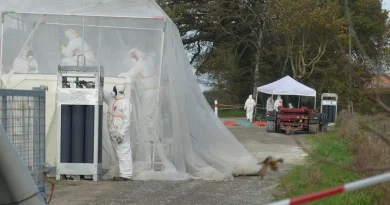 Vairé en Vendée : un foyer de grippe aviaire détecté, routes fermées par précaution
