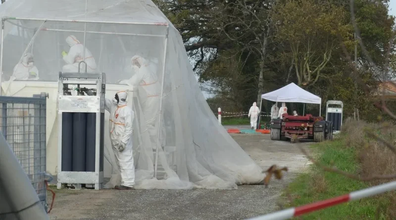 Vairé en Vendée : un foyer de grippe aviaire détecté, routes fermées par précaution