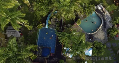 Surtourisme : l'île de Combu, près de Belém, en proie à une crise incontrôlable