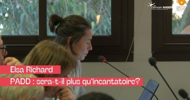 PADD : un aménagement durable au-delà des promesses ?