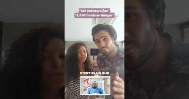 PALUDISME : 627 000 Morts, Résistance Médicamenteuse et Solutions Naturelles