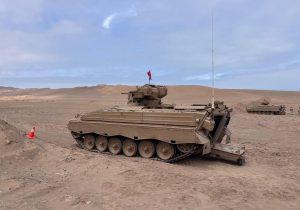 PAS DE MARDER CHILIENS EN UKRAINE