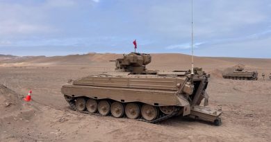 PAS DE MARDER CHILIENS EN UKRAINE