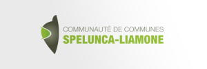 PLPDMA - Programme Local de Prévention des Déchets Ménagers et Assimilés - Communauté de Communes Spelunca Liamone