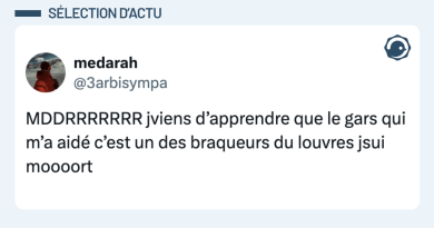 Un internaute en panne secouru par un cambrioleur du Louvre - Twog