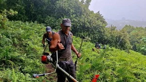 Papeari : sous la pluie, les bénévoles redonnent vie au plateau Harrison Smith