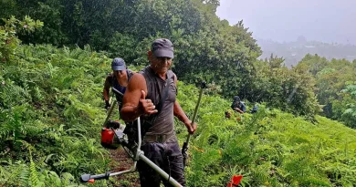 Papeari : sous la pluie, les bénévoles redonnent vie au plateau Harrison Smith