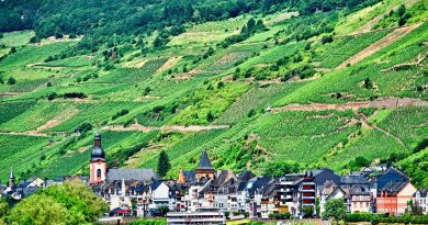 Bourgogne-Franche-Comté, Dijon, Besançon, vineyard, forest, river, mountain, village