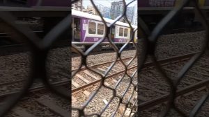 Passer le train local rapide du Sud : voyage en Inde