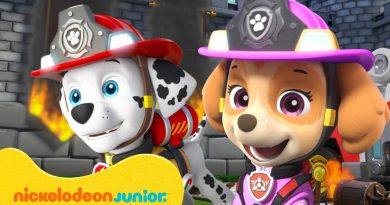 Pat' Patrouille : Sauvetages aériens et lutte contre les feux !