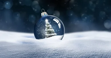 Pau réinvente son Noël avec une scénographie élargie et de nouveaux parcours