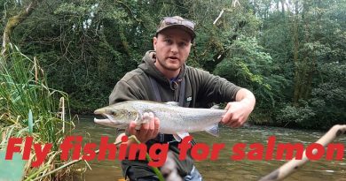 Pêche à la mouche au saumon dans les rivières de Cumbrie