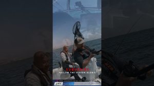 Pêche au Striper dans la Baie de San Francisco : Quand ça chauffe !