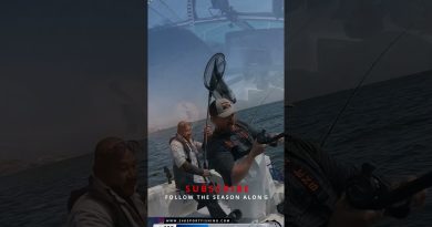 Pêche au Striper dans la Baie de San Francisco : Quand ça chauffe !