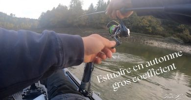 Pêche plaisir : Estuaire et fort coefficient 🍁🎣