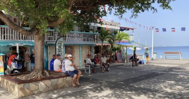 Pédocriminalité aux Saintes : un couple de Terre-de-Haut condamné à quatre ans de prison ferme 