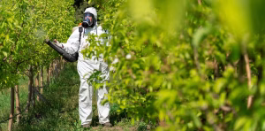 Pesticides : les équipements de protection augmentent l'exposition des travailleurs