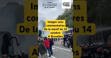 Photos de la manifestation du 14 à Bruxelles