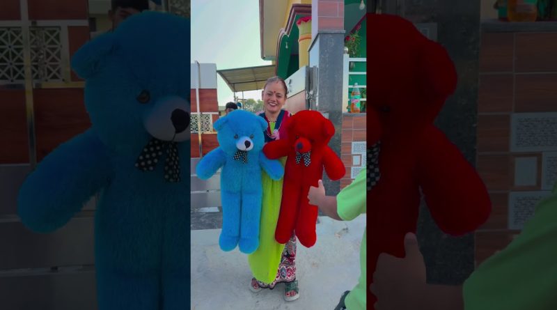 Pikachu en Shorts : Rires et Fun avec la BN Family !