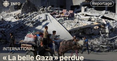 Plan de paix à Gaza : le retour progressif des habitants