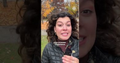 Plongée au cœur d'une classe de francisation à Sherbrooke