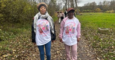 illustration agrandir l