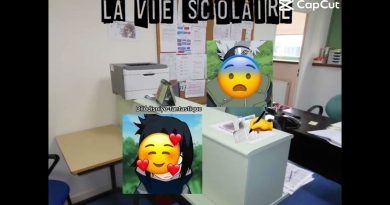 Point de vue : Plongée dans la vie scolaire