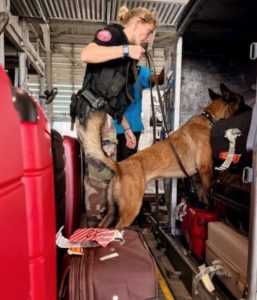 Pointe-à-Pitre : contrôle ciblé sur le tarmac pour sécuriser les vols et les infrastructures